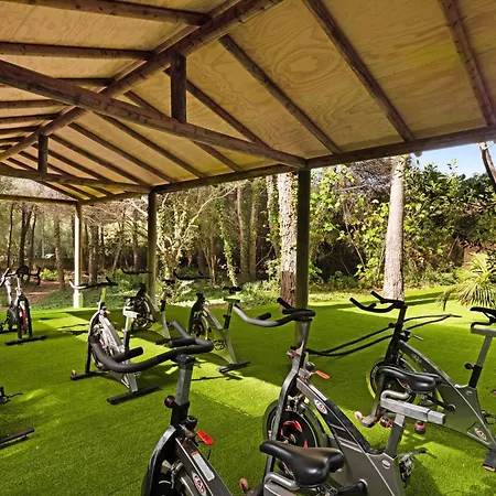 Hotel Viva Cala Mesquida & Adults Only 16 4*